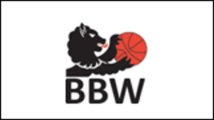 Basketball BW